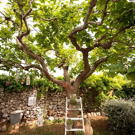 Il Trullo Volza * Locorotondo