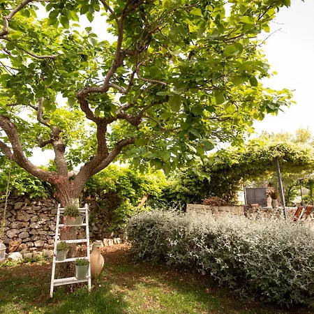 Il Trullo Volza Vakantiehuis *