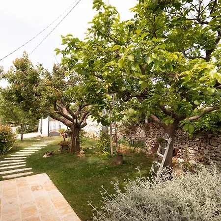 Holiday home Il Trullo Volza Locorotondo